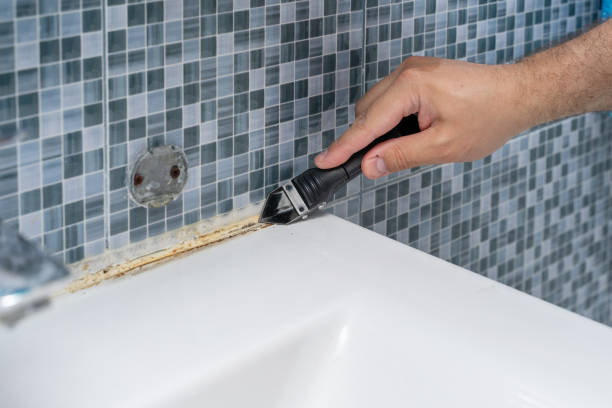 Mold Removal and Inspection in Hockinson, WA